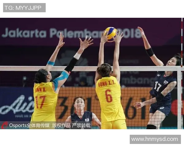 杨磊专访揭秘排球成功秘诀与背后故事的深度解析