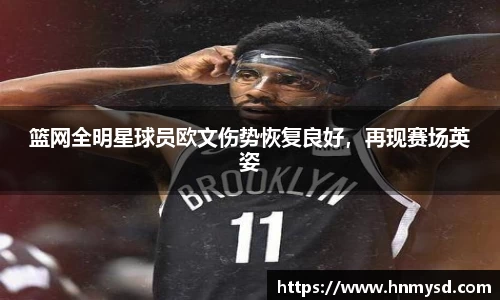 球速体育平台登录入口
