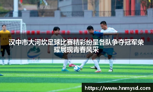 球速体育平台登录入口