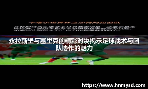 球速体育平台登录入口