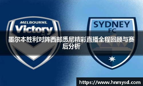球速体育平台登录入口