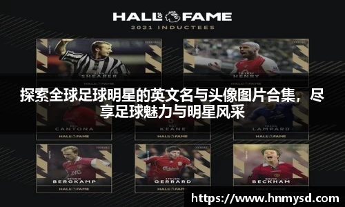 球速体育平台登录入口