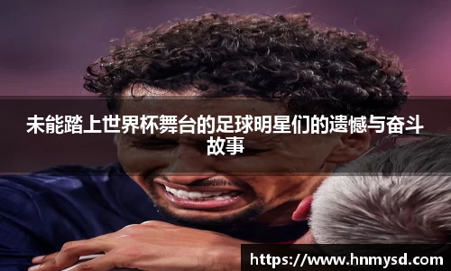 球速体育平台登录入口